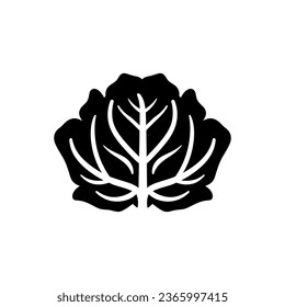 Organic cabbage icon isolated on white background
