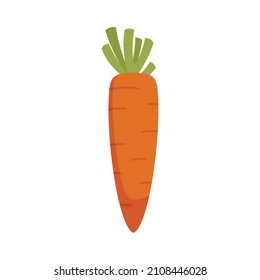 Organic carrot icon. Flat illustration of organic carrot vector icon isolated on white background