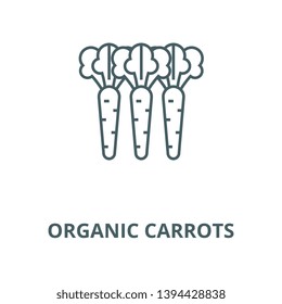 Organic carrots vector line icon, linear concept, outline sign, symbol