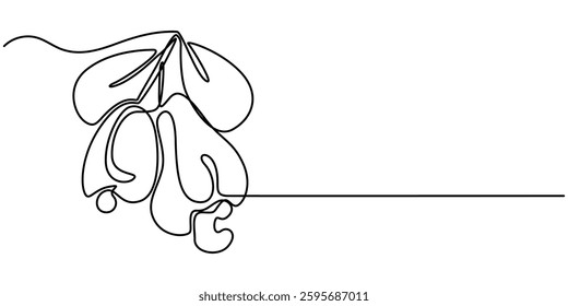 organic cashew apple continuous one line drawing, One continuous line drawing whole healthy organic cashew apple for orchard logo identity. Fresh Brazilian caju concept for fruit garden icon. Modern. 