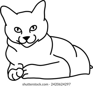 Esquema orgánico del vector del gato