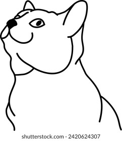 Esquema orgánico del vector del gato
