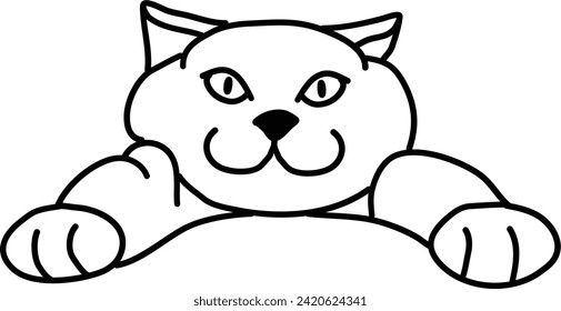 Organic of Cat vector outline