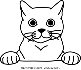 Esquema orgánico del vector del gato