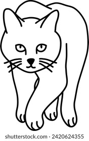 Esquema orgánico del vector del gato
