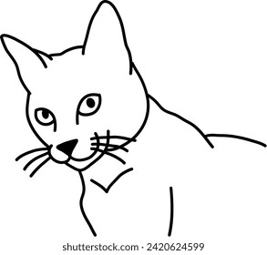 Organic of Cat vector outline