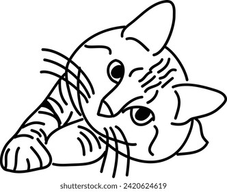 Esquema orgánico del vector del gato