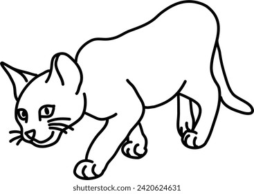 Esquema orgánico del vector del gato