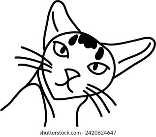 Organic of Cat vector outline