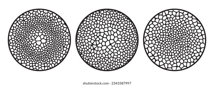 Conjunto de patrones radiales de células orgánicas. Elementos de malla de rejilla del vector para el diseño