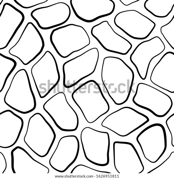 Organic Cells Seamless Pattern Animal Skin Stock Vector Royalty Free 1626951811