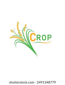 Organic cereal crops, grain flat vector , crop logo design