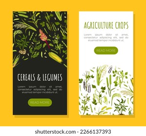 Organic Cereals and Legume Banner Design with Growing Crops and Plant Vector Template