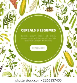 Organic Cereals and Legume Banner Design with Growing Crops and Plant Vector Template