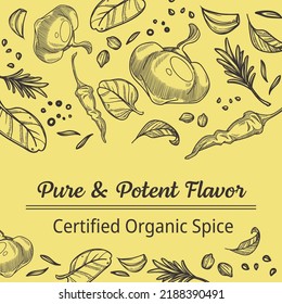 Organic and certified spices blend, mix of paprika and oregano, mint leaf and garlic, chili pepper and basil. Pure and potent flavor for cooking and preparing tasty food. Vector in flat style