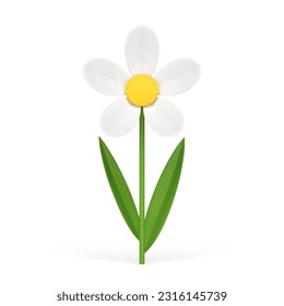 Organic chamomile natural flower botanical blossom summer spring plant 3d icon realistic vector illustration. Floral herb botany bloom bud with petals stem and leaves nature ecology environment beauty