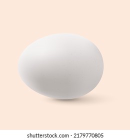Organic Chicken Egg. Realistic Chicken Egg with Shadow Effects