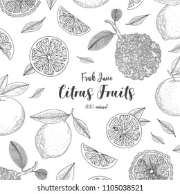 Organic citrus fruit banners. Healthy food. Engraving sketch vintage style. Vegetarian food for design menu, recipes, decoration kitchen items. Great for label, poster, packaging design