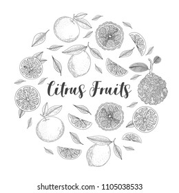 Organic citrus fruit banners. Healthy food. Engraving sketch vintage style. Vegetarian food for design menu, recipes, decoration kitchen items. Great for label, poster, packaging design