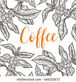 Organic coffee leaf, bean vector hand drawn template packaging cosmetic, label, banner, poster, identity, branding. Stylish design with sketch illustration of coffee sketch. Natural organic.