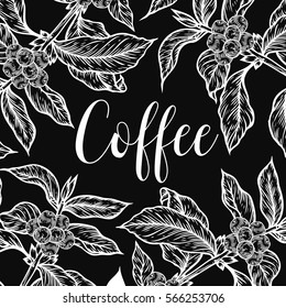 Organic coffee leaf, bean vector hand drawn template packaging cosmetic, label, banner, poster, identity, branding. Stylish design with sketch illustration of coffee sketch. Natural organic.