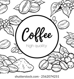 Organic coffee shop design. Vector illustration of coffee beans. For coffee shop branding, packaging, cafe menus, and beverage-themed projects.