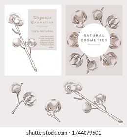 Organic collection, natural cosmetic, ECO shop, ECO store cards posters set. Selling products advertisement. Natural design with cotton plant flowers. Herbs vector hand drawn illustration. Pastel.