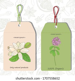 Colección orgánica. Ilustración de vectores con plantas de tomillo y cítrico bergamia. plantillas de etiquetas.