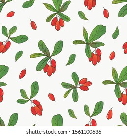 Organic collection. Vector seamless pattern with a plant barberry on a white background
