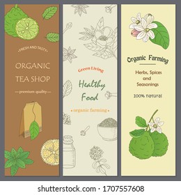 Colección orgánica.Dibujo manual vectorial de diferentes ingredientes para una buena bebida de té. Hierbas, especias y frutas en plantillas de volante