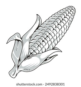 Organic corn detailed logotype monochrome with whole maize for frying and eating as quick and healthy snack vector illustration