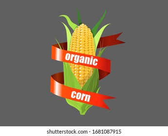 organic Corn on white background