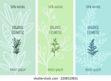 Organic cosmetic vector labels set