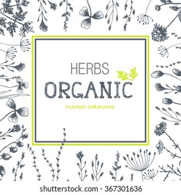 Organic Cosmetics frame. Hand drawn herbs and natural cosmetic background.  Vector illustration.