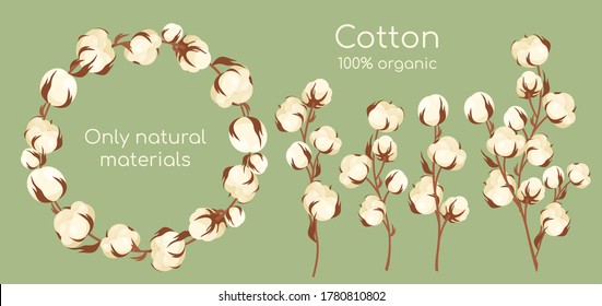 Organic cotton plant vector illustration set. Cartoon flat cottonseed branch with white textured flower bolls, natural raw materials for eco textile industry, manufacturing high quality cotton fabric