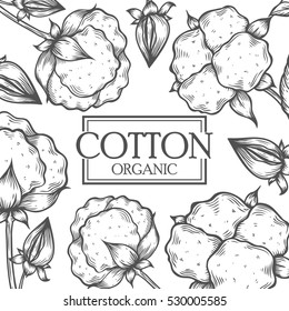 Organic cotton shop bud leaf, flower vector hand drawn template packaging cosmetic, label, banner, poster, identity, branding. Stylish design with sketch illustration of cotton sketch.