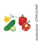 organic cucumber and red bell pepper flat vector design composition