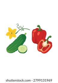 organic cucumber and red bell pepper flat vector design composition