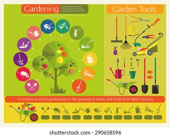 Organic cultivation of fruit trees. Stages planting, digging the earth, irrigation, fertilizer, spraying, weed control, harvesting in the garden. Garden tools.