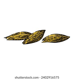 organic cumin hand drawn. spice ingredient, food herb, aroma seed organic cumin vector sketch. isolated color illustration