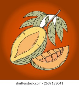 organic and delicious mango fruit vector 