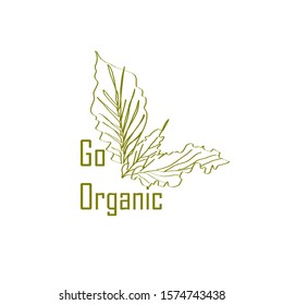 Organic design. Plant vector with text go organic stylized on green color background.