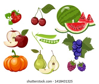 Organic diet healthy natural food, pumpkin, cherry, blackberry, apple, pear, raspberry, strawberry, watermelon, currant pea Cartoon collection fruit Fresh vitamin nutrition Fruit vector set