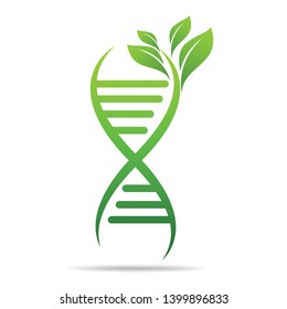 Organic DNA symbol  ecology tree leaves. Green thinking technology innovations, conservation concept