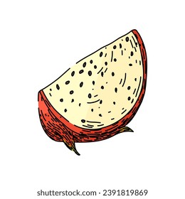 fruta de dragón orgánica extraída a mano. tropical dulce, cactus rojo, naturaleza rosada, boceto orgánico de dragón de fruta vectorial. ilustración de color aislado