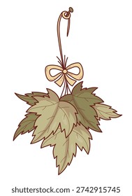 Organic Dried Black Currant Leaves. Bunch Hanging on Rope with Bow for Herbal Tea Preparation. Drying Herbs, Harvesting Plant Raw Materials. Natural Medicine. Vector Illustration