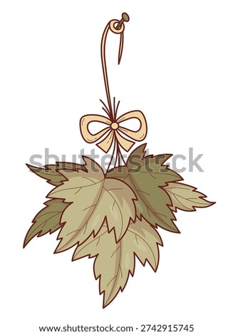 Organic Dried Black Currant Leaves. Bunch Hanging on Rope with Bow for Herbal Tea Preparation. Drying Herbs, Harvesting Plant Raw Materials. Natural Medicine. Vector Illustration