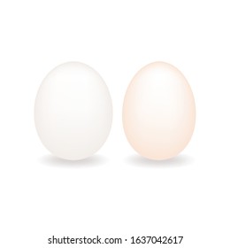 Organic duck eggs vs chicken eggs. Vector illustration