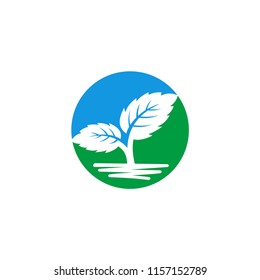 Organic eco leaf logo template vector illustration