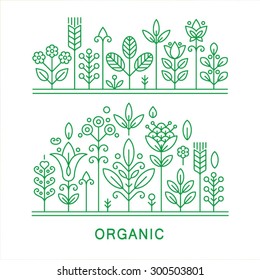 Organic, ecology and bio abstract design elements. Linear style. Vector illustration. 